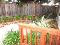 front yard