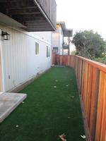 rear yard